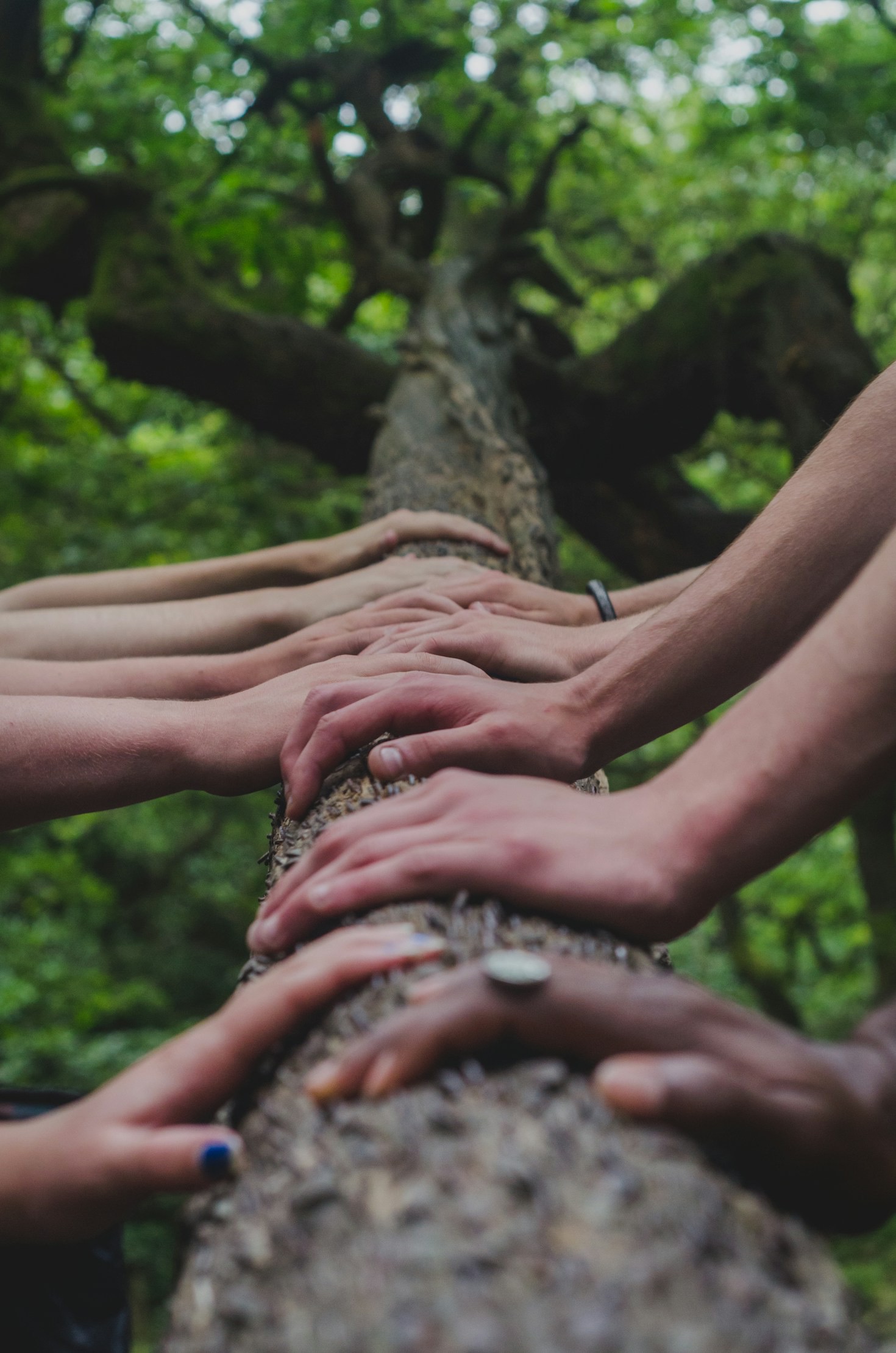 Fostering Growth Through Meaningful Engagement